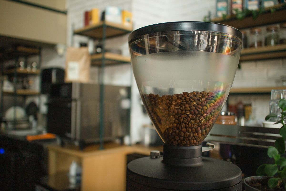Burr coffee grinder with roasted beans sitting in the conical hopper above the throat