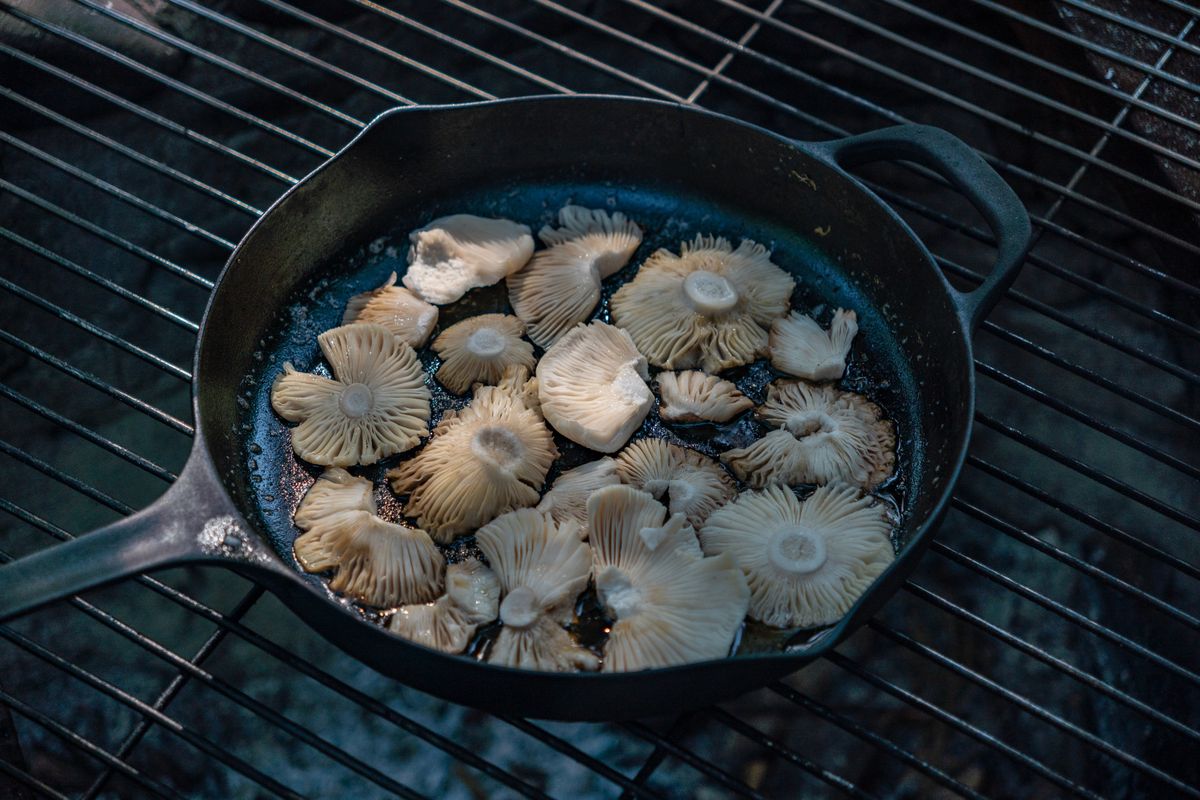 Cast iron skillet on a grill rack with oyster mushrooms cooking in oil, showing the seasoned black surface